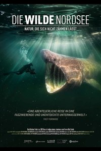 Die wilde Nordsee